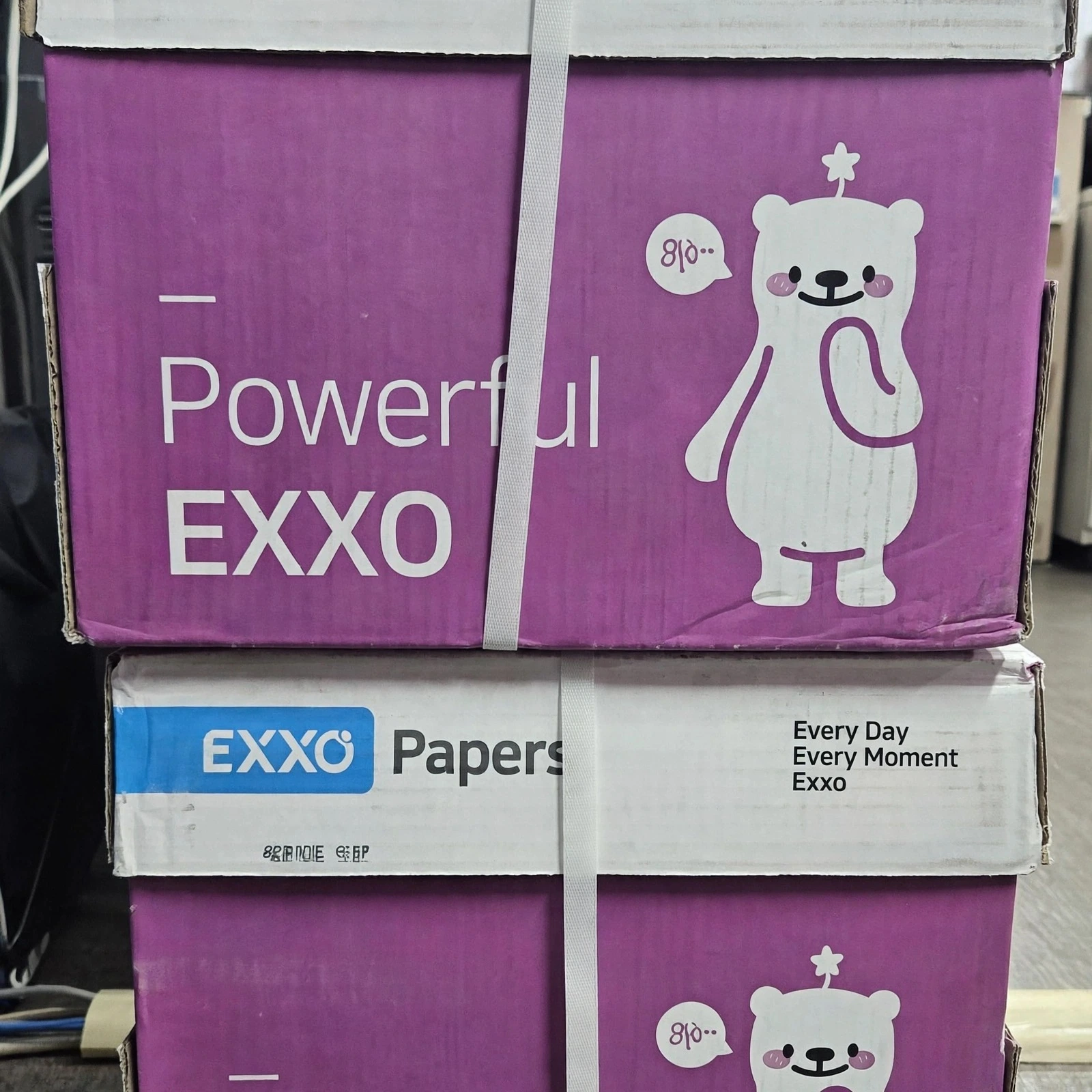 복사용지 고민 끝! 가성비 끝판왕엑소 큐트베어 A4용지 80g 5000매내돈내산급 찐추천 & 특가 리뷰